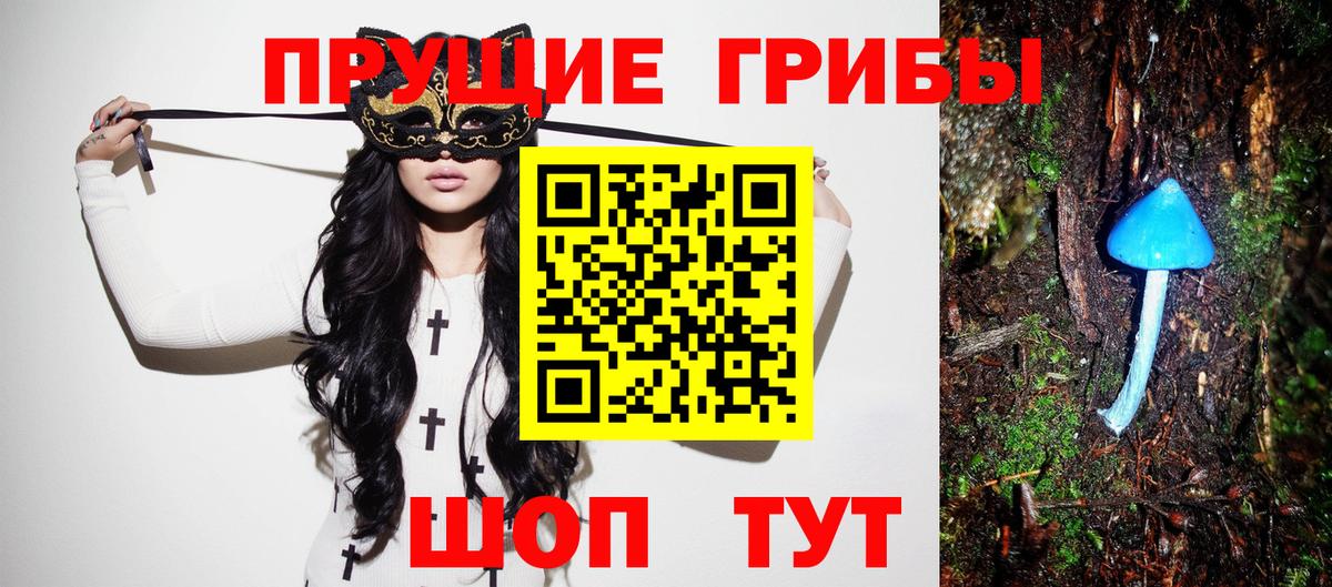 Галлюциногенные грибы GOLDEN TEACHER  Вход с VPN  Галлюциногенные грибы мицелий  Новодвинск 