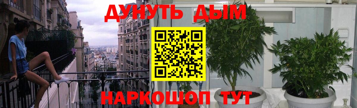 Каннабис MAZAR Новодвинск